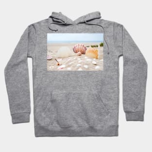 Beach Shells Hoodie